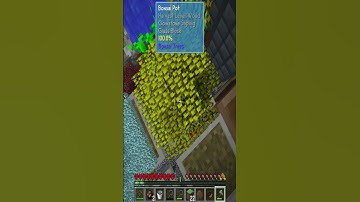 Miserable SkyFactory 4 Challenge 3: Bigger Boxes