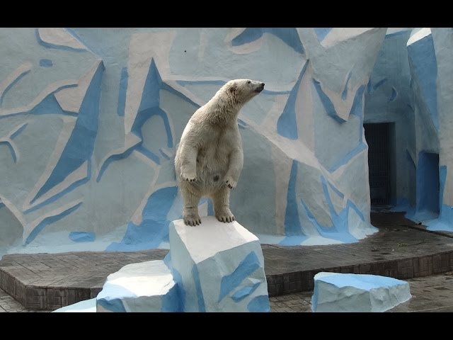 Герда - прекрасная актриса и замечательная мама!