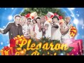 Llegaron las christmas Arreglo : Yturvides