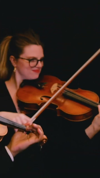 Eine Kleine Nachtmusik - SpeechLess Music #classicalstrings #violin #cello #music #violinist