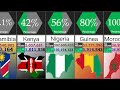 Muslim population in african countries  percentage comparison  datarush 24