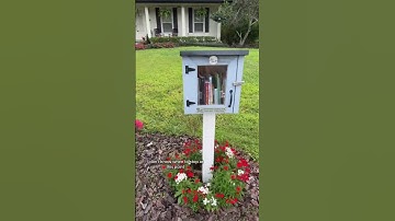I need a little free library date 💕 #booktok #littlefreelibraryhunting #littlefreelibrary #reader