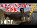【冬最強リグ完全解説】オモヘッドワッキーはこうやって使え‼