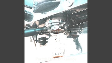 Elegant Backdrop for Stress Relief