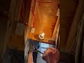 Good help is hard to find #diy #cat #home