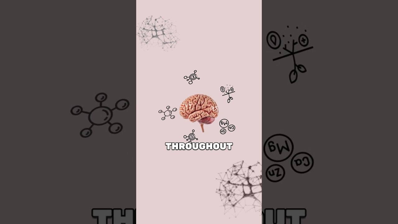 Your brain needs specific nutrients to stay sharp throughout the day.*