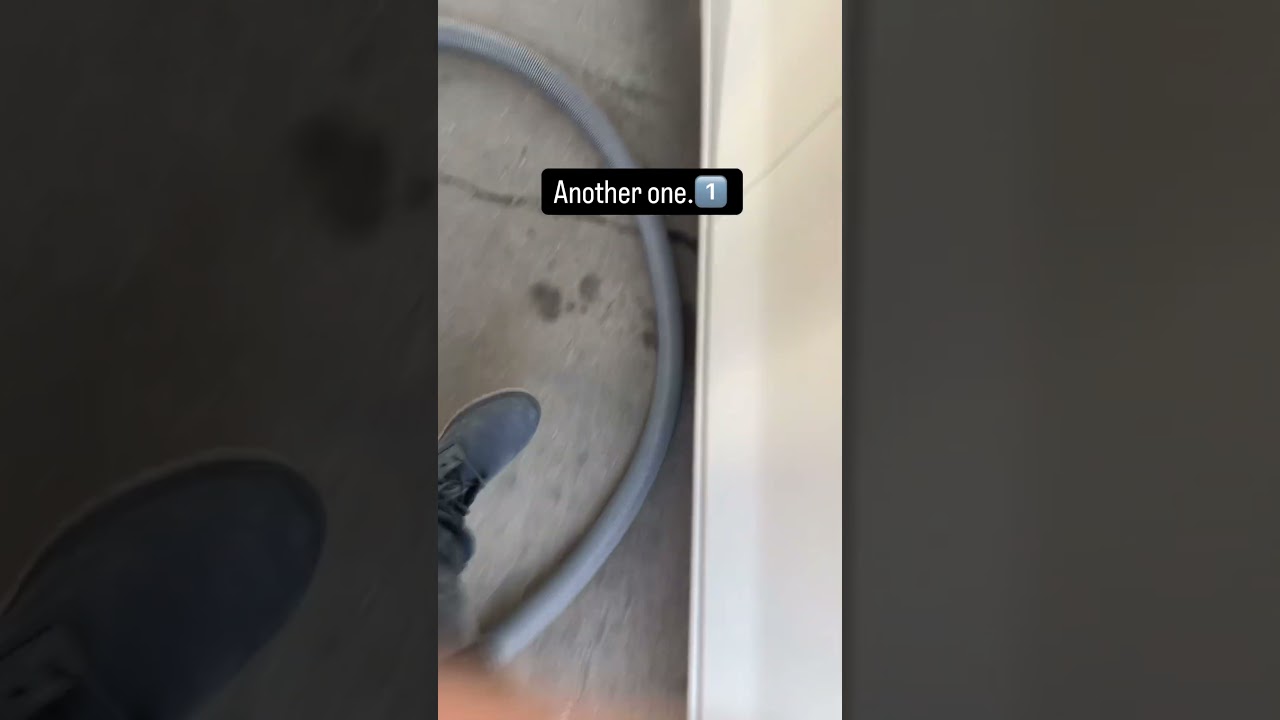 Working at Budget Avis