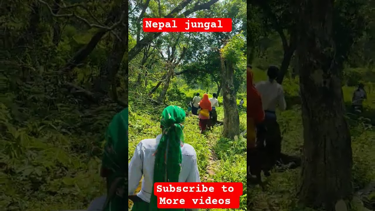 how to find Nepal jungal 