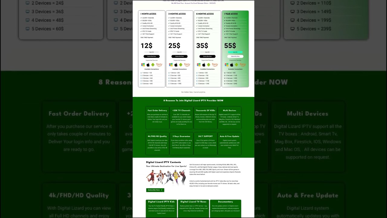 DIGITAL LIZARD (The Smarter Way to Watch Everything You Love!)