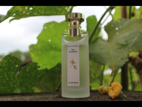 Bvlgari Au The Blanc - รีวิวน้ำหอม