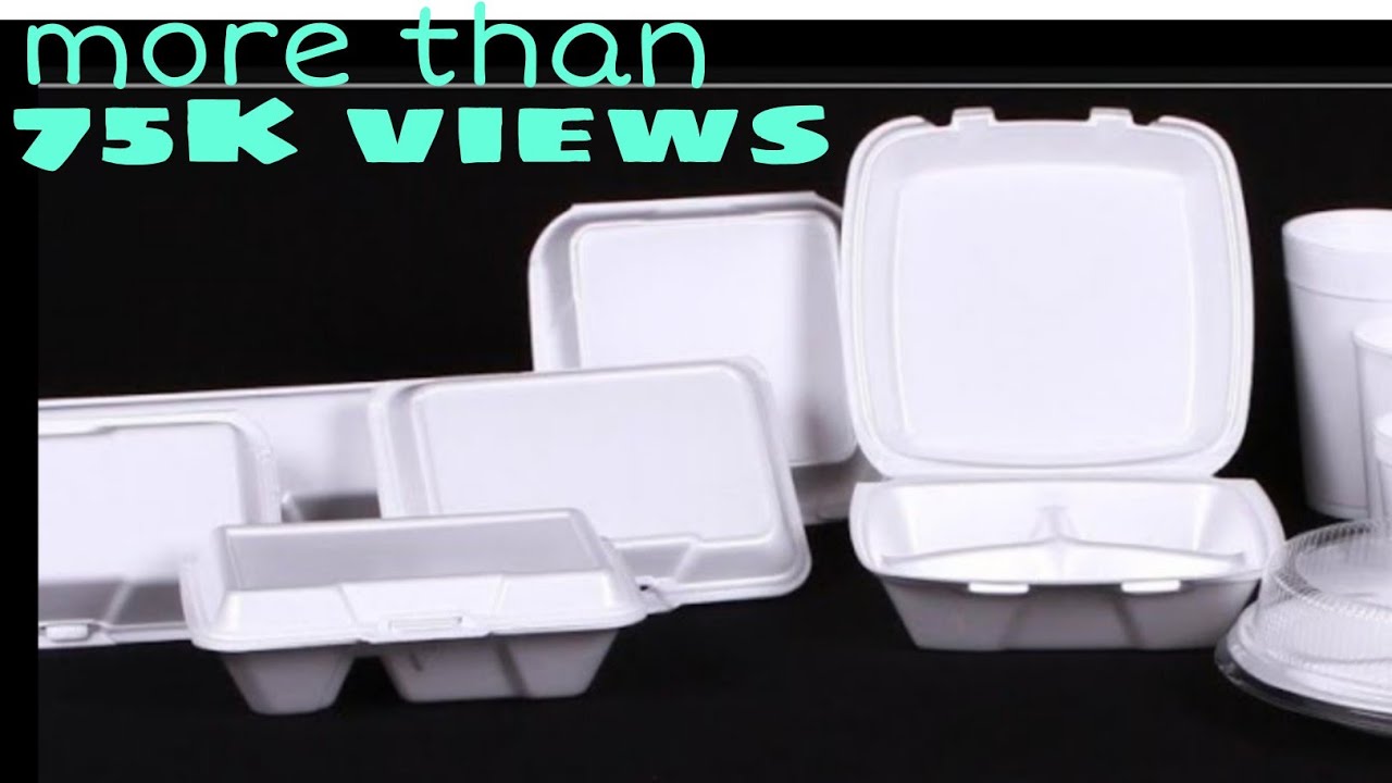 Takeout Truths: A Look at Styrofoam — PlasticScore