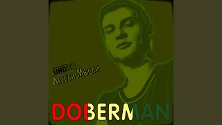 Wol de Marr - Doberman