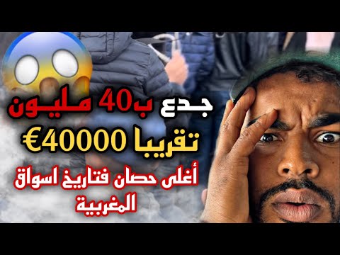 أغلى حصان فتاريخ الأسواق أخر تمن 40 مليون واش كين لمليح ولا لا