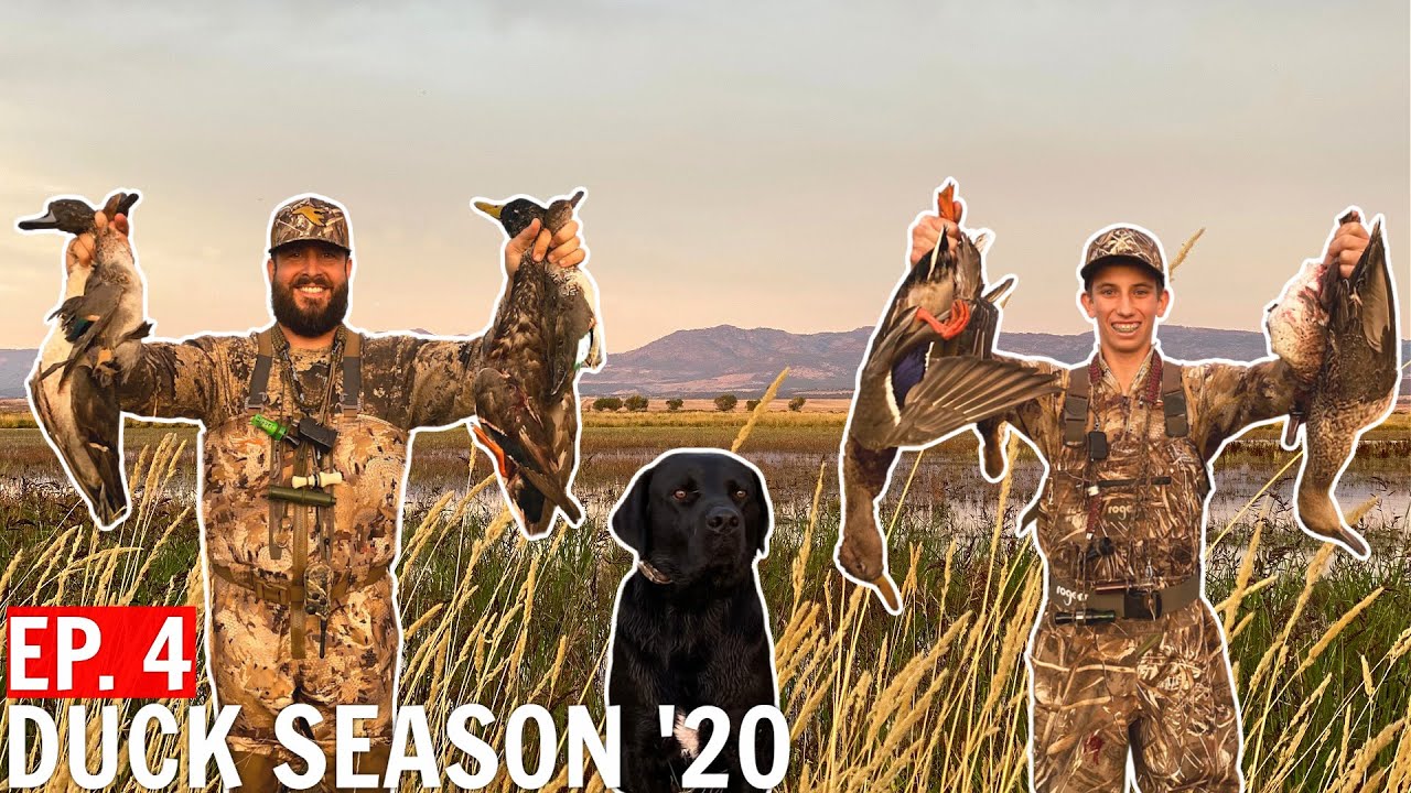 Duck Hunting - NEW Area PAID OFF! 