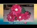 FLOR CALANDRA 5 PONTAS