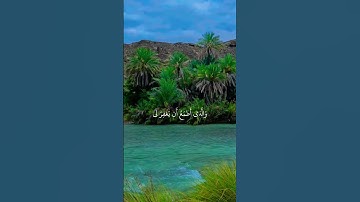 القارئ اسلام صبحي سورة الشعراء#قرآن #قران_كريم #اسلام_صبحي