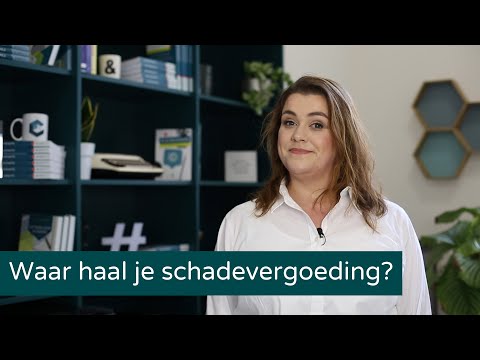 Inbreuk op auteursrecht: waar haal je schadevergoeding? | Charlotte's Law