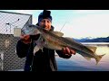 ВСЁ О РЫБАЛКЕ на ДОНКУ! рыбалка в Норвегии с берега на донку!!! треска, люр. Донка.