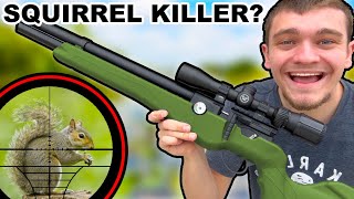 Ultimate Squirrel Hunting Airgun (Scope Cam)