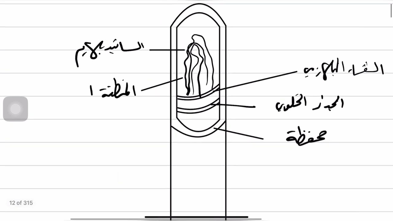 تعليم رسم | رسم الخلية بدائية النواة وملاحظات ذهبية مهمة جداً.