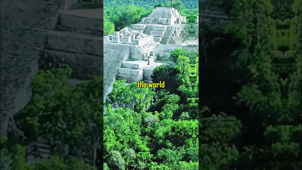 The Truth About El Mirador: A Lost Wonder? 🏜️ – Mel Gibson