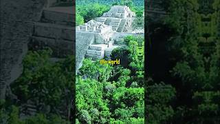 The Truth About El Mirador A Lost Wonder? Mel Gibson