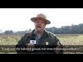 Battle of Cold Harbor Quiz