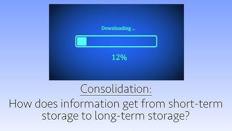 The Neuroscience of Performing from Memory Part II