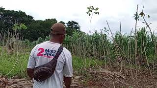 Tasya Rosmala  Cinta Dan Air Mata  Om Adella  Album Terbaru 2025