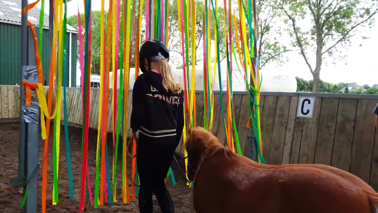 Manege de Groote Wielen ponykamp 2022