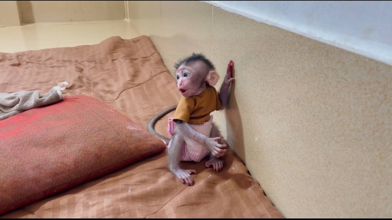 Cutiest koi wo0rrii walk & walk Callinq mom with her crispy voice