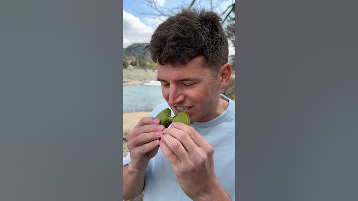 ONLY Eating Matcha For 24 Hours