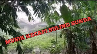 kecapi suling Sunda di iringi suara hujan,burung dan ayam sekali denger bikin ketagihan