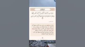 سورة هود أية (٦)
