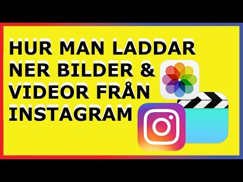 Video: Hur Man Laddar Ner Instagram