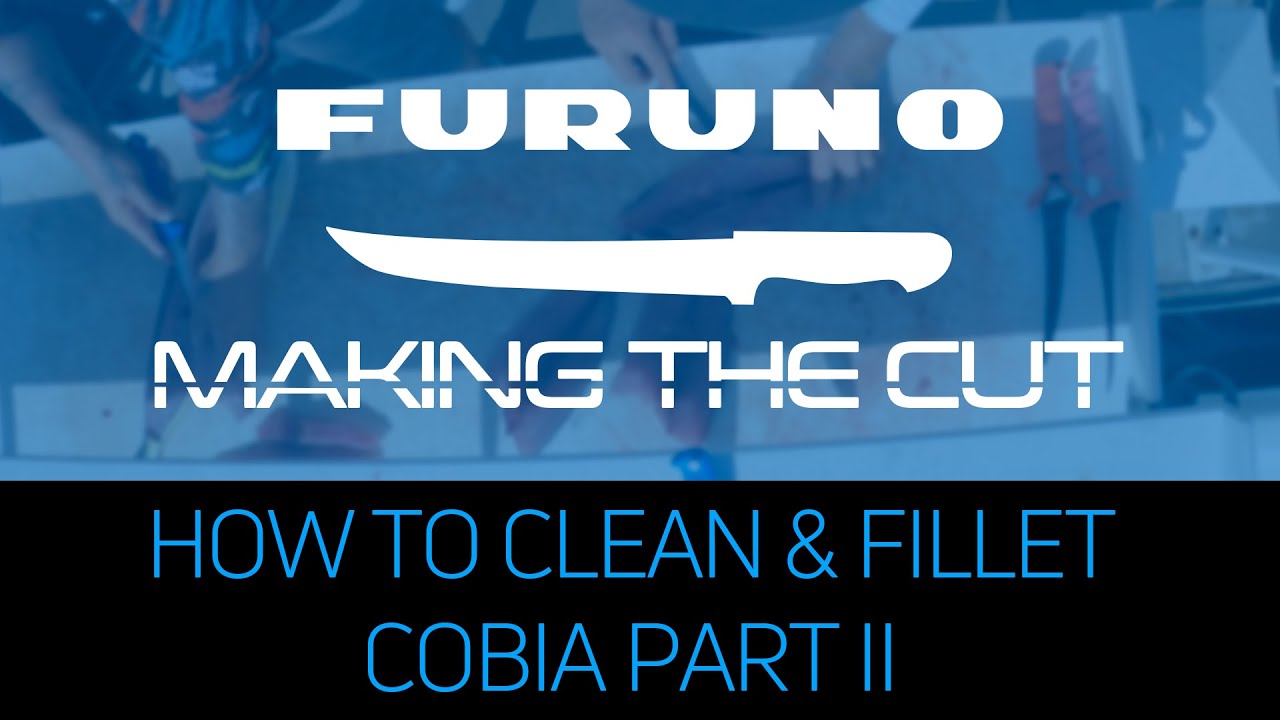 Making the Cut: How to Clean and Fillet a Cobia Part II