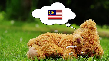 Learn Malay While You Sleep - 1000 Important Malay Words & Phrases