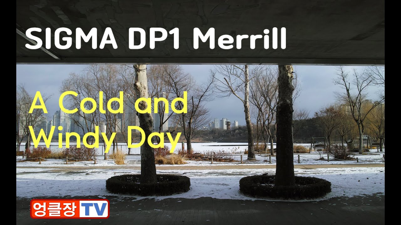 SIGMA DP1 Merrill - A cold and windy day - YouTube