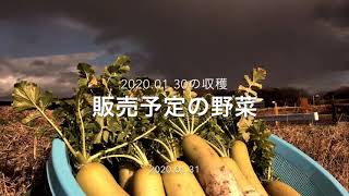 Get For Free Get Wallpaper Desktop Wallpaper Free