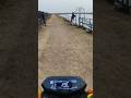 Baja pulsar N160 full modified killer look top modification#bajajpulsarrs200 #bajajbikes #motovlogs