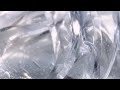 いつも動画を見てくださっている皆様へ！