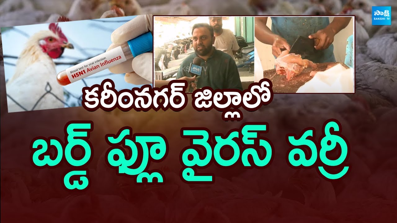 వైరస్ వర్రీ: Bird Flu Virus Effect In Karimnagar District | Govt Strict Rules On Chicken | 
