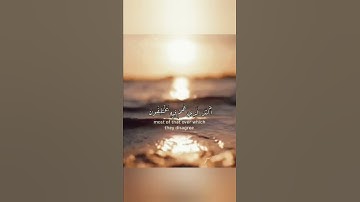 وإن ربك ليعلم ما تكن صدورهم وما يعلنون 💛| القارئ إسلام صبحي | آيات مريحة | أجمل حالات واتس اب دينية