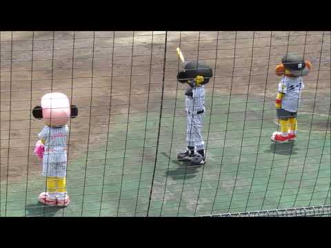2017年8月20日　阪神VS日本ハム（二軍）　阪神スタメン発表時のトラッキー・ラッキー・キー太