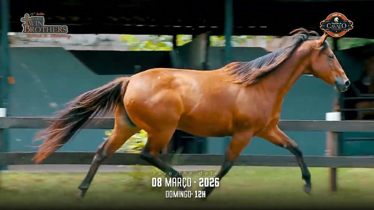 5 - ZORRERITA ZORRERO