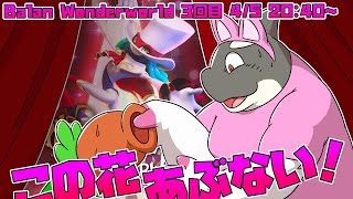 【Balan Wonderworld】 サンマの花が咲いている マグロの花はまだつぼみ 【バランワンダーワールド】