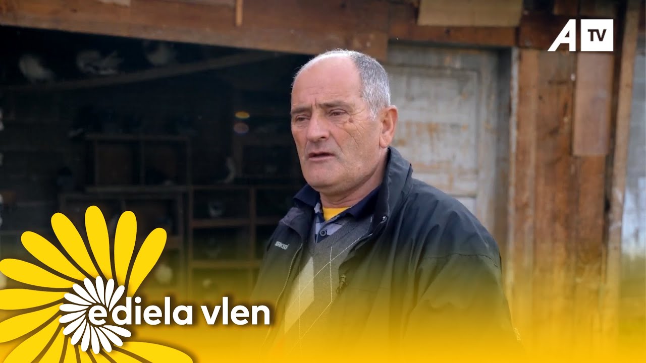 Lidhja e fortë e 59 vjeçit nga Rahoveci me pëllumba