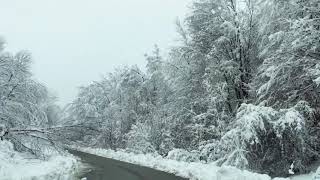 Minunata iarna ❄️❄️❄️