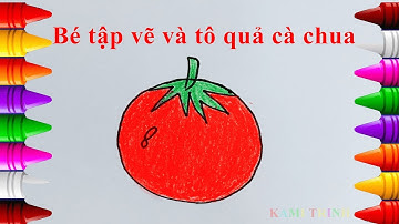 Dạy bé tô màu, hướng dẫn bé vẽ và kiến thức về trái cà chua