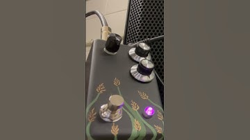 Lurch Audio Triticale and 12 Grain fuzz pedals with Agile baritone guitar suboctave